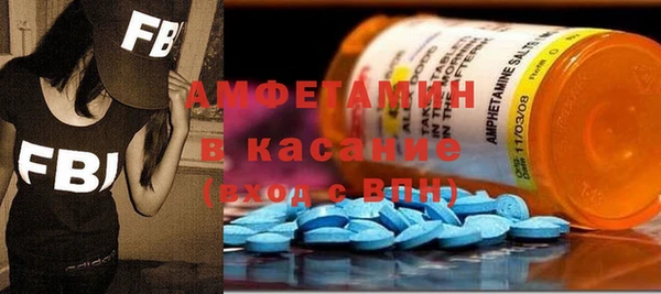 МДПВ Пересвет